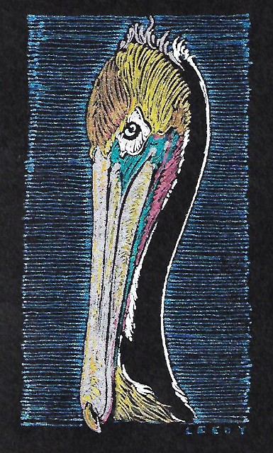 Pelican Ink - Drawing by Tom Leedy